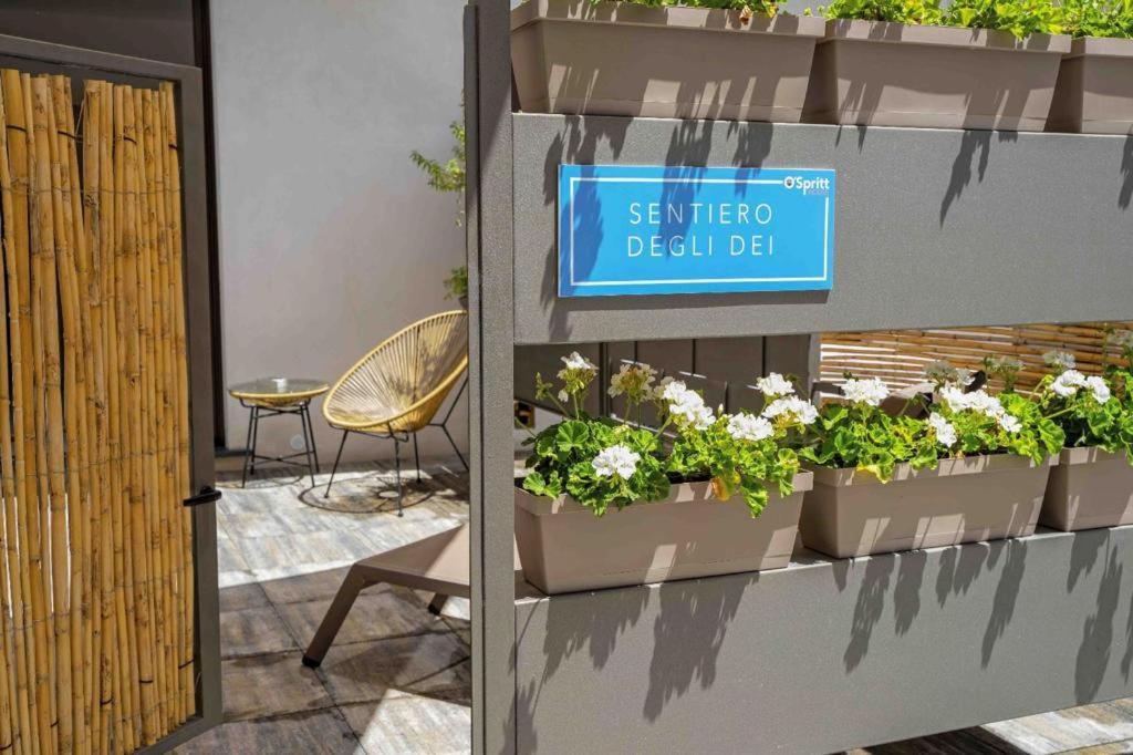 Ospritthouse Apartment Agerola Exterior foto